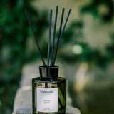 Le Diffuseur