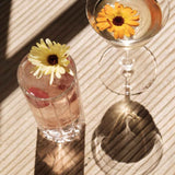 Antoinette Sparkling Blanc Sans Alcool 0%