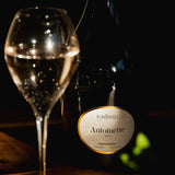 Antoinette Sparkling Blanc Sans Alcool 0%