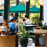 70 Hectares - Matin Gourmand