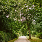 Visita Jardín Notable - Domaine de Primard