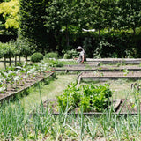 Visita Jardín Notable - Domaine de Primard