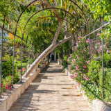 Tarjeta regalo Les Domaines de Fontenille