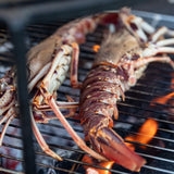 Santa Ponsa - Parrillada Evening