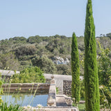 Tarjeta regalo Les Domaines de Fontenille