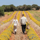 Torre Vella - Taller Finca Flora