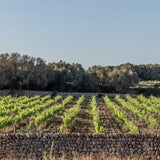 Tarjeta regalo Les Domaines de Fontenille
