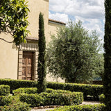 Pieve Aldina - Tarde de Relax