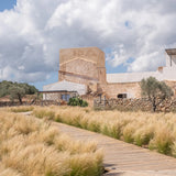 Torre Vella Marès Tinto