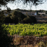 Torre Vella Marès Blanco