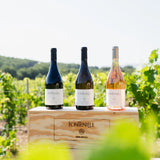 Santa Ponsa - Wine & Gastronomy à Nura